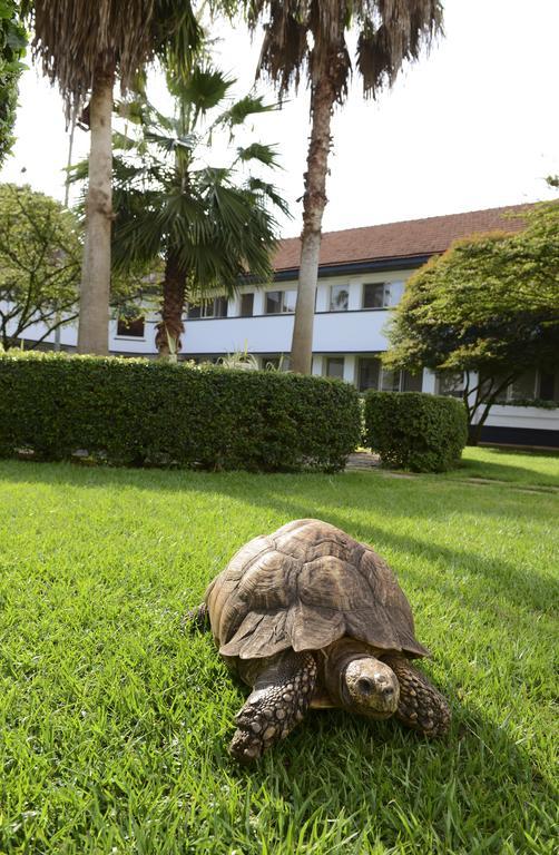 Lake Victoria Hotel เอนเทบเบ้ ภายนอก รูปภาพ